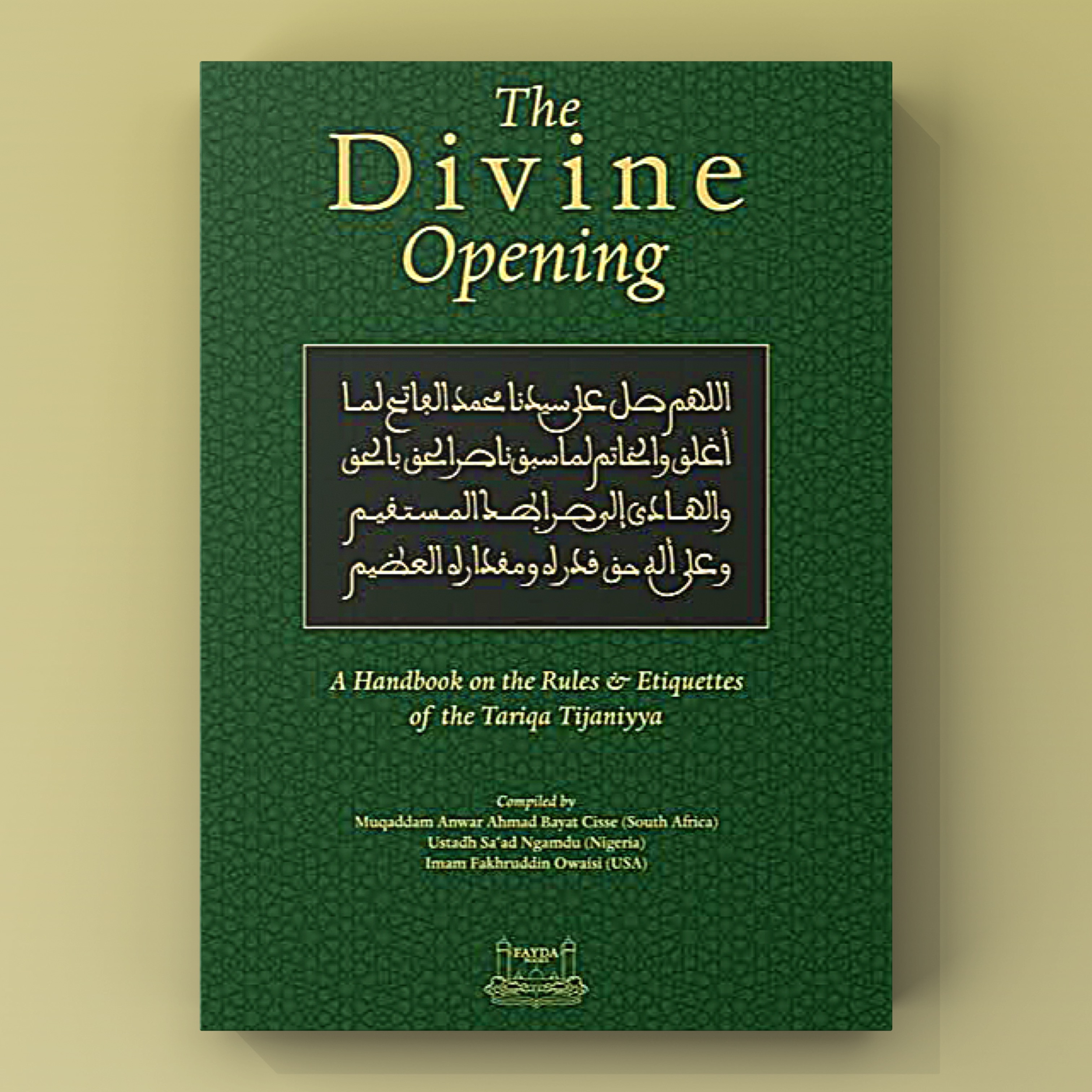 Book Spotlight: The Divine Opening